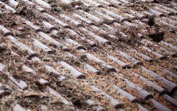 Hilton Park roof cleaning companies