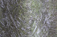 Hilton Park fibreglass roof work